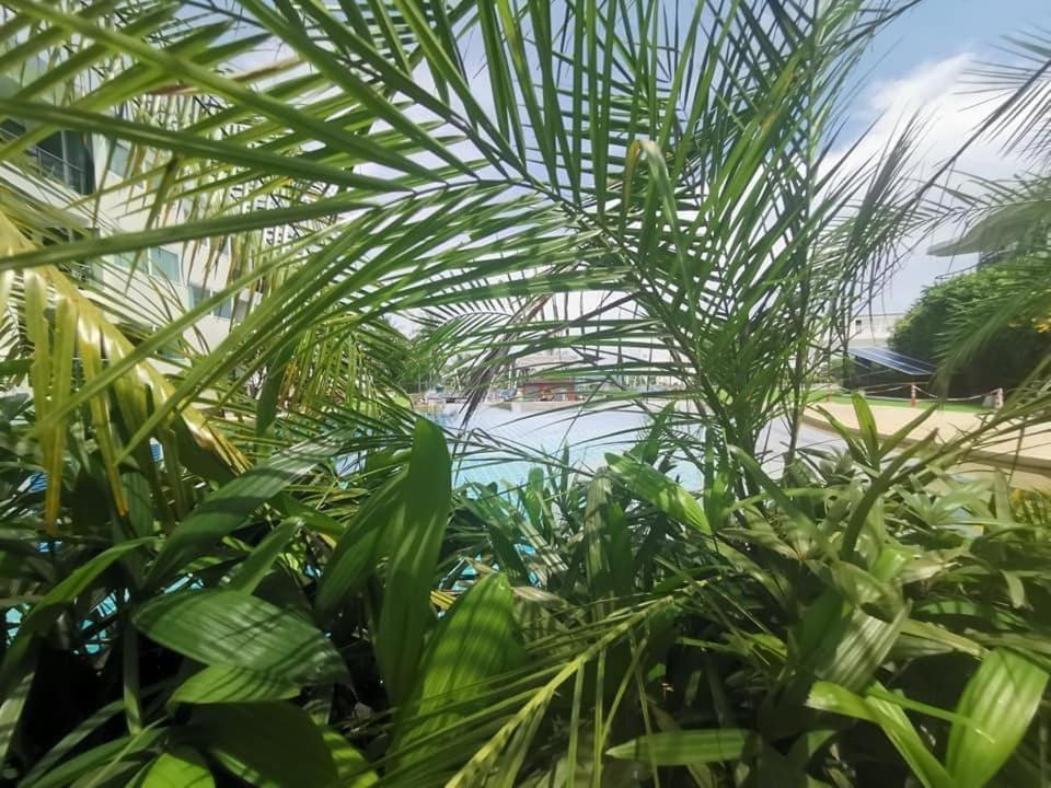 Karon Butterfly Condominuim Ban Karon Εξωτερικό φωτογραφία